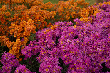 Similar image 22139538