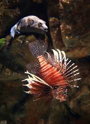 Similar image 22132977