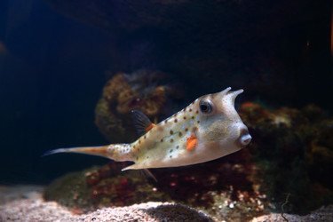 Similar image 22132978