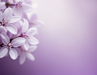 Similar image 22163372