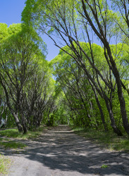 Similar image 22143983