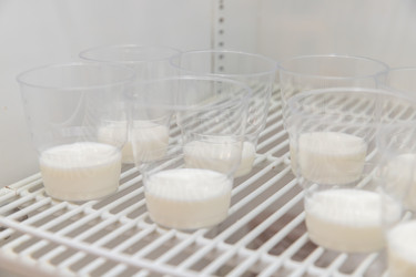 Similar image 22135444