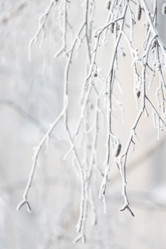 Similar image 22135460