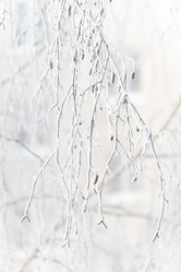 Similar image 22135464