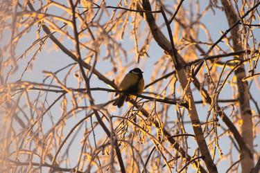 Similar image 22135468