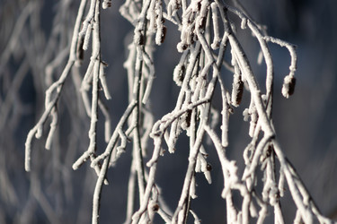 Similar image 22135469