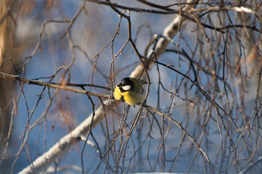 Similar image 22135471