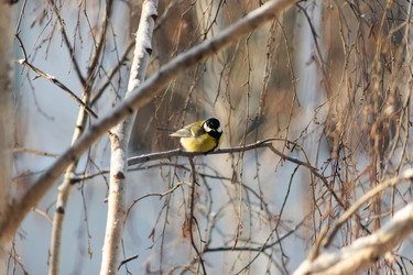 Similar image 22135473