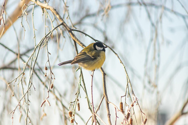 Similar image 22135475