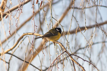 Similar image 22135476