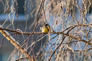 Similar image 22135478