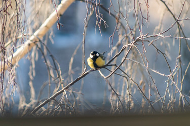 Similar image 22135479