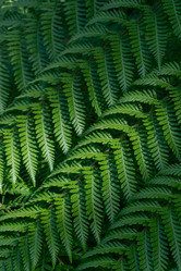 Similar image 22138785