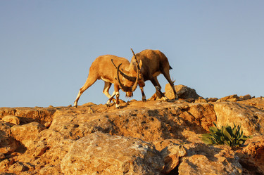 Similar image 22138787