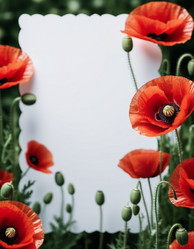 Similar image 22162936