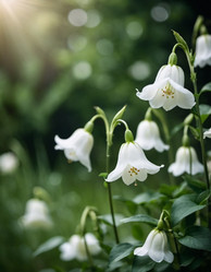 Similar image 22162439