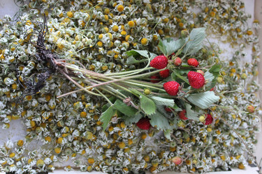 Similar image 22134725