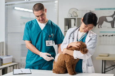 Similar image 22144977