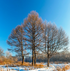 Similar image 22139222