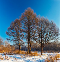 Similar image 22139223