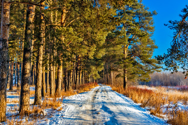 Similar image 22139229