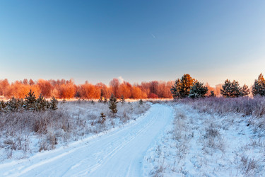 Similar image 22139236