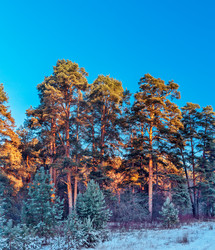 Similar image 22139238