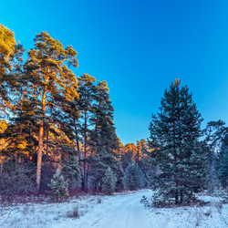 Similar image 22139240