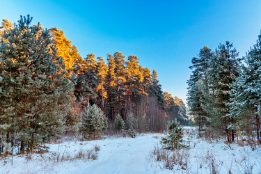 Similar image 22139241