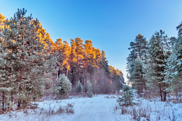 Similar image 22139242