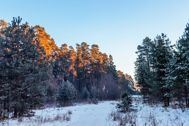 Similar image 22139243