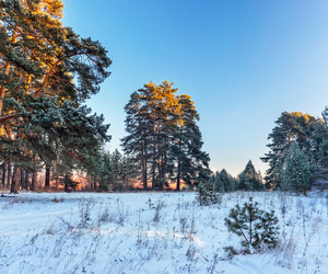 Similar image 22139245