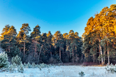 Similar image 22139247