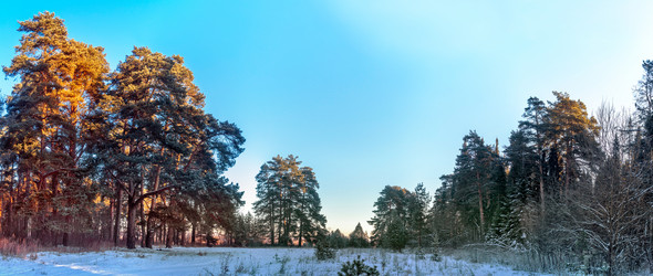 Similar image 22139248