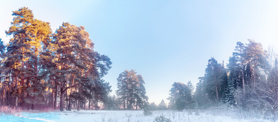 Similar image 22139251