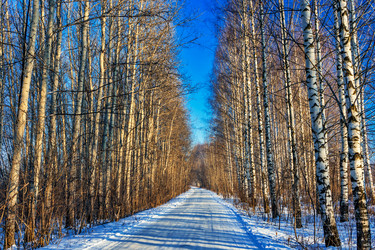 Similar image 22139253