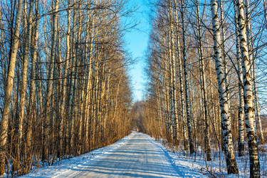 Similar image 22139254