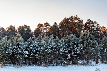 Similar image 22139256