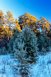 Similar image 22139257