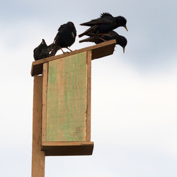 Similar image 22148789