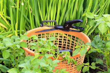 Similar image 22154013