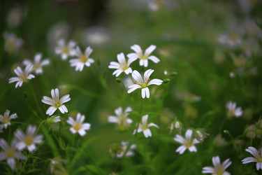 Similar image 22156200