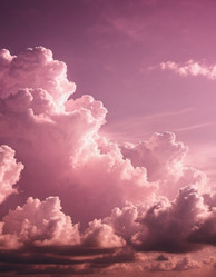 Similar image 22161425