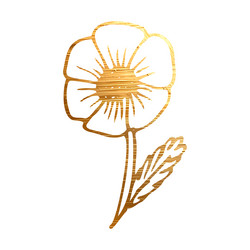 Similar image 22139273