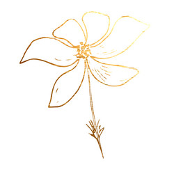 Similar image 22139301