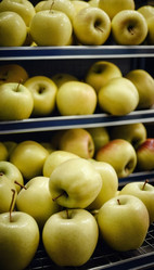 Similar image 22162515