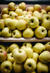 Similar image 22163030