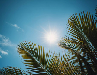 Similar image 22161454