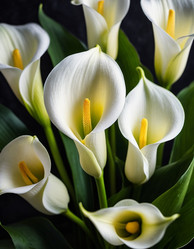 Similar image 22162339