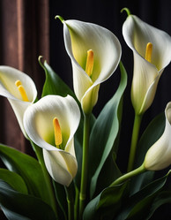 Similar image 22162822